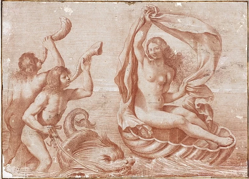 Il giovane - Studio, Ninfa e tritoni, attribuito